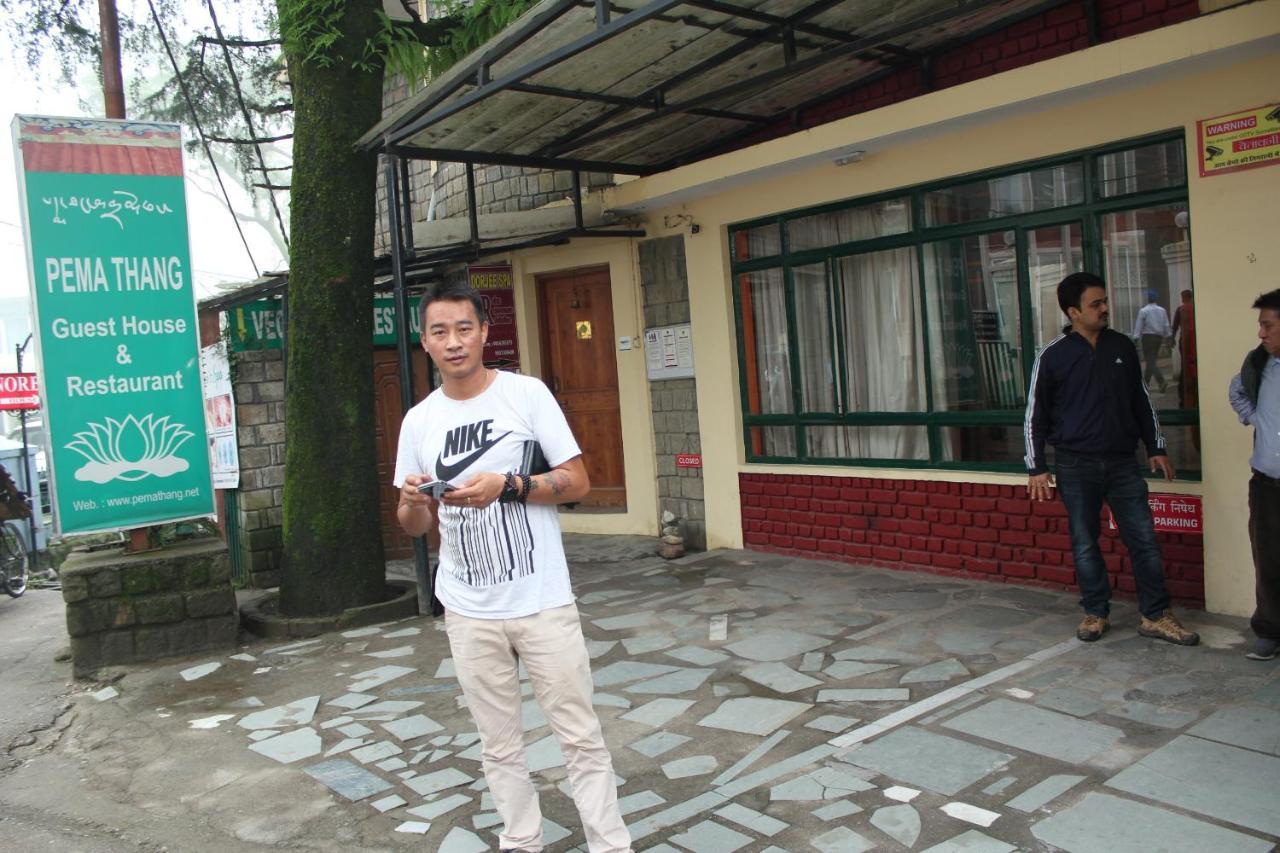 Pema Thang Hotel Kangra Εξωτερικό φωτογραφία